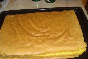 Tort de ciocolata