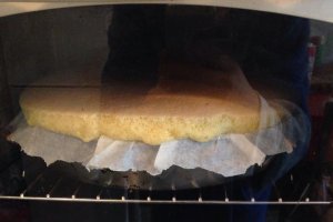Blat de tort