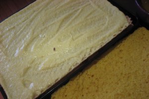 Prajitura cu crema caramel si caramel