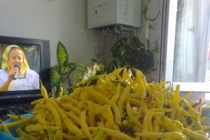 Fasole pastai pentru congelator