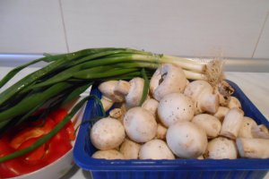 Tocanita de ciuperci la tuci