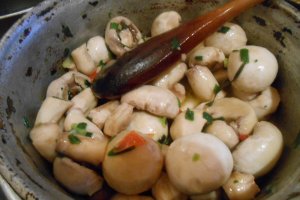Tocanita de ciuperci la tuci