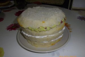 Tort "DESENVIS"