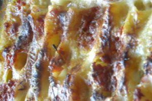 Cannelloni cu carne de pui
