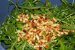 Salata de ruccola cu piersici, prosciutto si Grana Padano-3