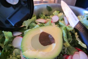 Pasta de avocado (2)