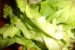 Zama (supa) taraneasca de salata-3