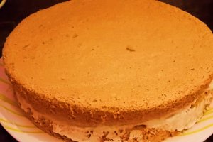 Tort diplomat