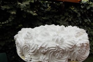 Tort diplomat