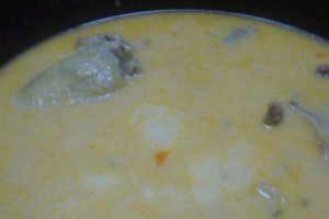 Tocanita de pui