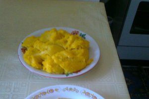 Tocanita de pui