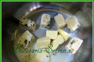 Gratar de pui cu sos roquefort