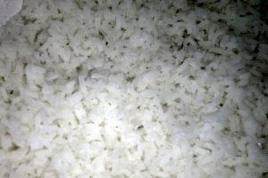 Orez cu legume (de post)