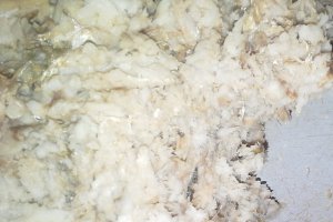 Pate de peste