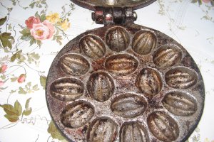 NUCI UMPLUTE