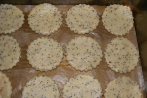 Biscuiti sarati
