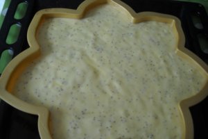 Chec cu mac