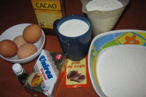 Negresa