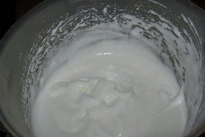 Negresa