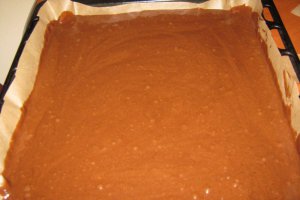 Negresa