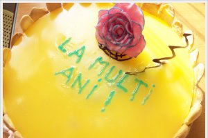Tort cu iaurt si jeleu de portocale