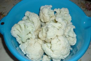 Sufleu de conopida