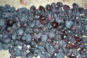 Magiun de prune