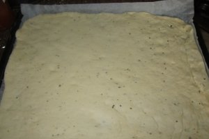 Pizza cu pui
