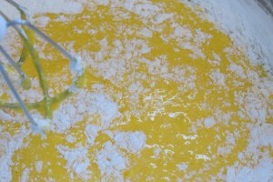 Tort Dukan "Alba ca Zapada"