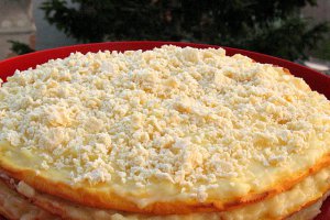 Tort Dukan "Alba ca Zapada"