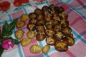 Castane coapte