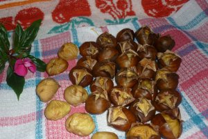 Castane coapte