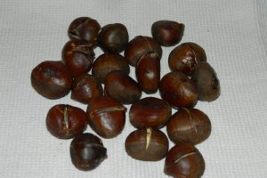 Castane coapte