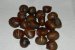 Castane coapte-5