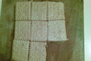 Desert Rapid din Biscuiti
