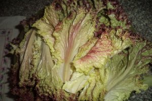 Bors de salata creata cu praz