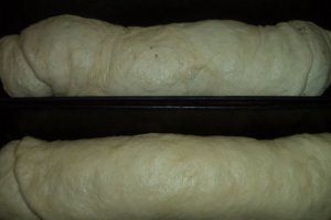 Cozonac de post (cu nuca si karob)