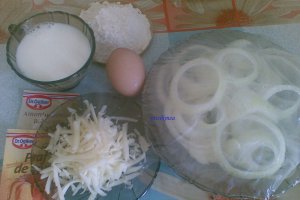 Inele de ceapa pane