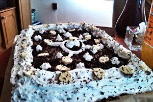 Prajitura cu crema Ole de ciocolata :)