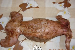 Iepure umplut, servit cu sos