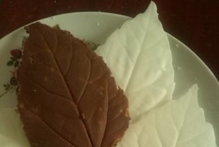 Frunze de ciocolata pt decor