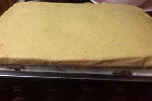 Prajitura cu ciocolata si crema de cocos