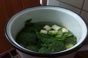 Supa crema de legume