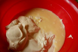 Prajitura cu iaurt si lapte condensat