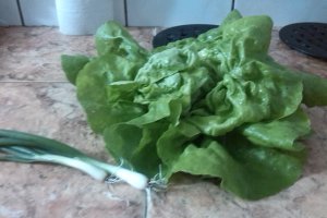Salata verde