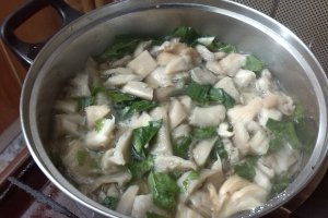 Ciuperci pleurotus cu smantana