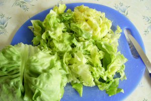 Ciorba de salata verde cu zdrente