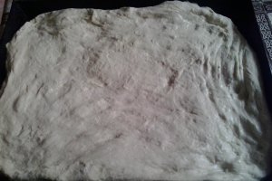 Paine de casa