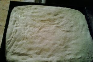 Paine de casa