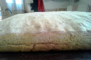 Paine de casa